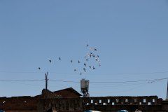 ZM_Baz00011_k