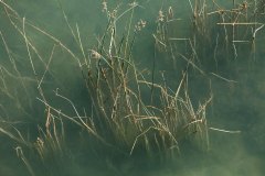 HDHYBogacayi011_k