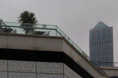 EB_DamdakiAgac00014_k