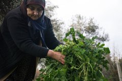 MS_DugunYemekcisi00006
