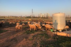 MABAK_Gaziantep00022_k