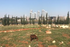 MABAK_Gaziantep00023_k