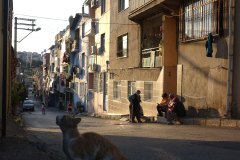 MYHA_Geiger00012_k