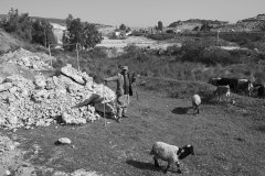 SBHavaalani00013_k