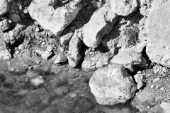 SBHavaalani00017_k