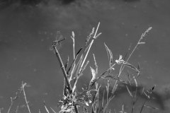 SBHavaalani00019_k