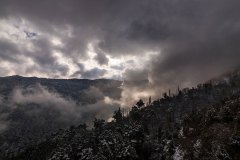 KRM_Kocabiyik00012