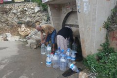 AS_Kurbaga00005_k