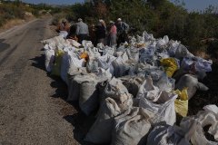 AS_Kurbaga00012_k
