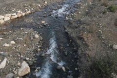 AS_Kurbaga00018_k