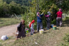 NBK_OrmanHikaye00004_k