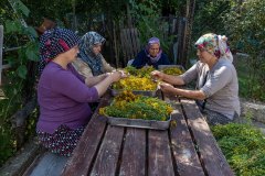 NBK_OrmanHikaye00005_k