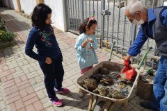 Kış uykusundan yeni uyanmış tosbağalar Mehmet Usta’nın hazırladığı karışımda yıkanıyor. Su, kömür ve sabundan oluşan bu karışım keneleri uzak tutuyor.