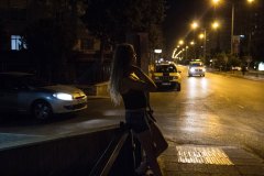 SY_YediRenk00008